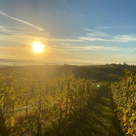 Charmant Et Chaleureux Gite Dans Le Vignoble Sigolsheim ภายนอก รูปภาพ