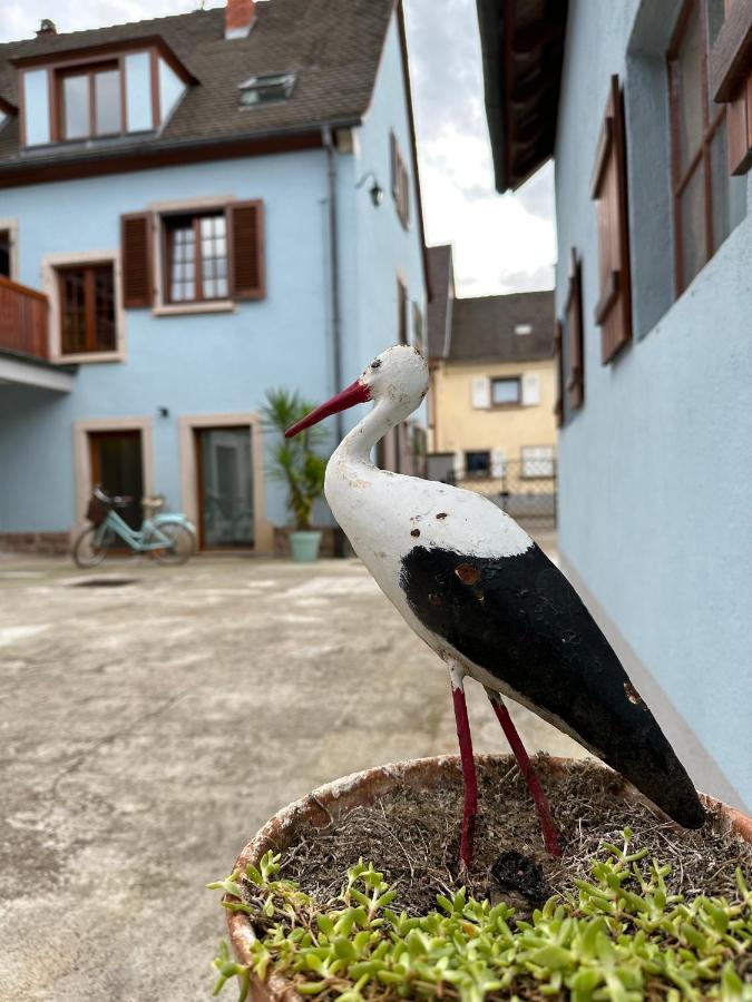 Charmant Et Chaleureux Gite Dans Le Vignoble Sigolsheim ภายนอก รูปภาพ
